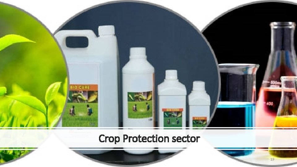 Crop Protection sector 19 