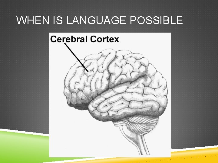 WHEN IS LANGUAGE POSSIBLE 