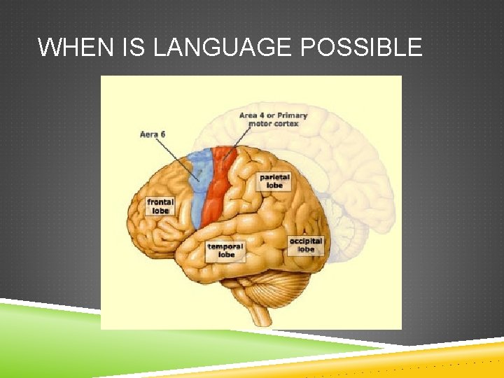WHEN IS LANGUAGE POSSIBLE 