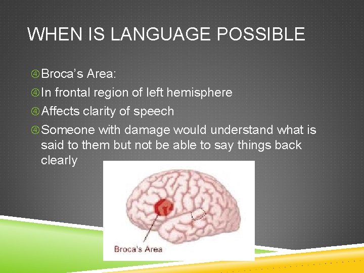 WHEN IS LANGUAGE POSSIBLE Broca’s Area: In frontal region of left hemisphere Affects clarity