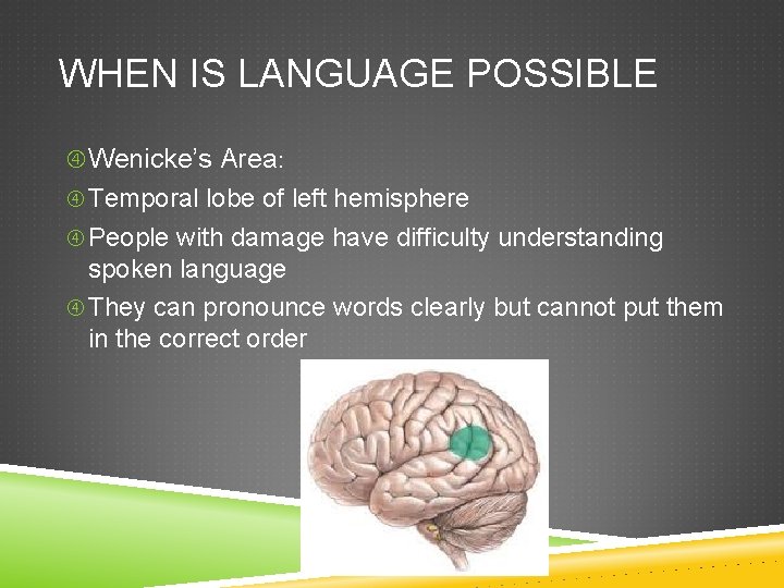 WHEN IS LANGUAGE POSSIBLE Wenicke’s Area: Temporal lobe of left hemisphere People with damage