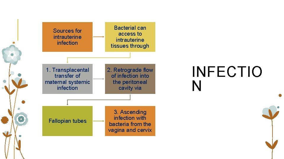 Sources for intrauterine infection Bacterial can access to intrauterine tissues through 1. Transplacental transfer