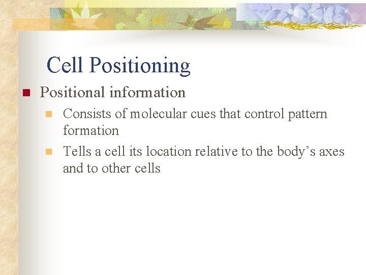 Cell Positioning n Positional information n n Consists of molecular cues that control pattern Cell Positioning n Positional information n n Consists of molecular cues that control pattern