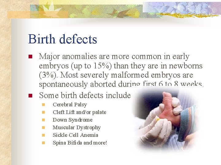 Birth defects n n Major anomalies are more common in early embryos (up to