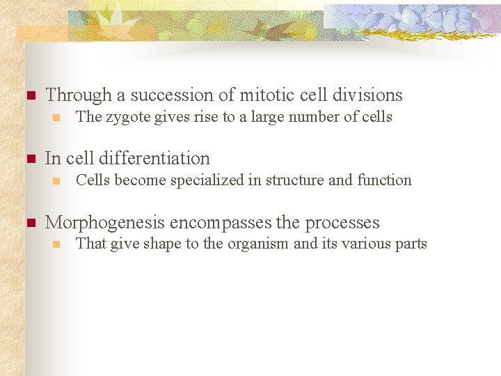 n Through a succession of mitotic cell divisions n n In cell differentiation n n Through a succession of mitotic cell divisions n n In cell differentiation n