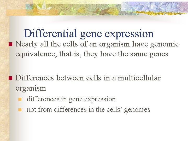 Differential gene expression n Nearly all the cells of an organism have genomic equivalence, Differential gene expression n Nearly all the cells of an organism have genomic equivalence,