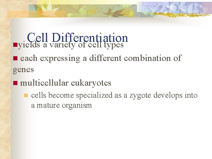 Cell Differentiation nyields a variety of cell types each expressing a different combination of