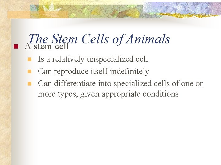 n The Stem Cells of Animals A stem cell n n n Is a