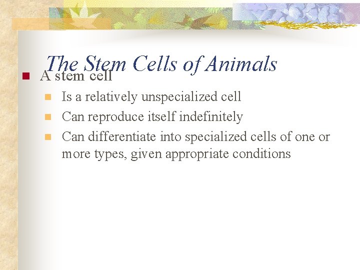 n The Stem Cells of Animals A stem cell n n n Is a n The Stem Cells of Animals A stem cell n n n Is a