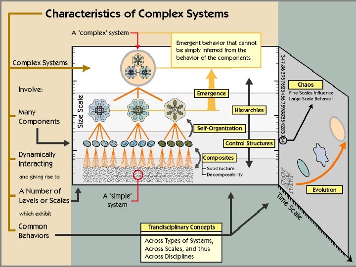 What are complex adaptive systems? 