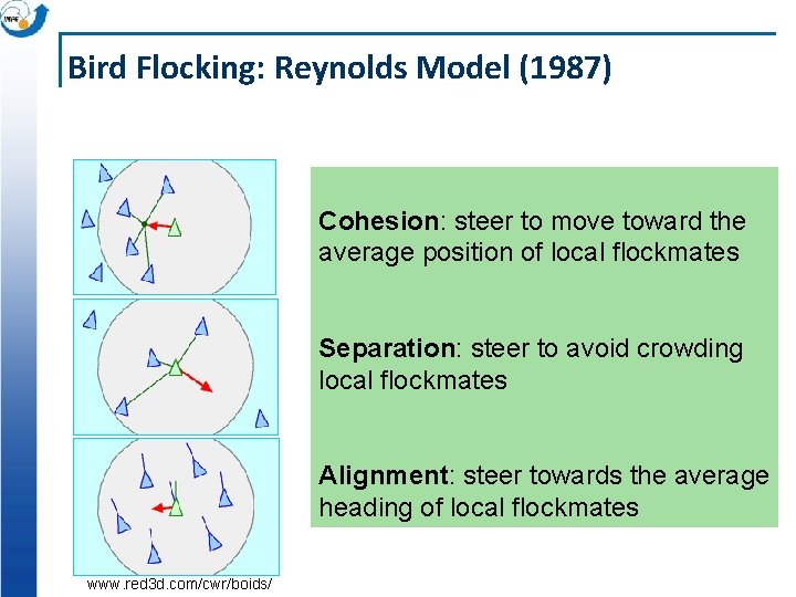 Bird Flocking: Reynolds Model (1987) Cohesion: steer to move toward the average position of