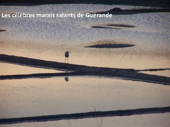 Les célèbres marais salants de Guérande 