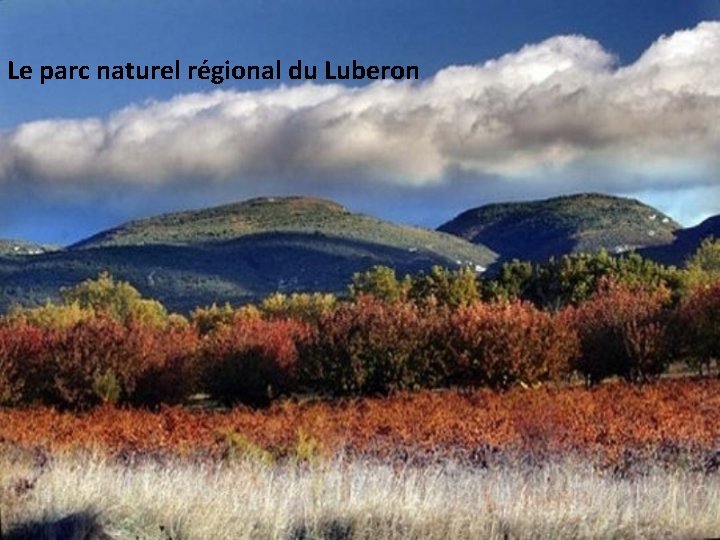 Le parc naturel régional du Luberon 