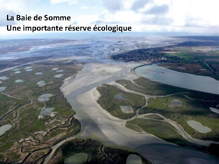 La Baie de Somme Une importante réserve écologique 