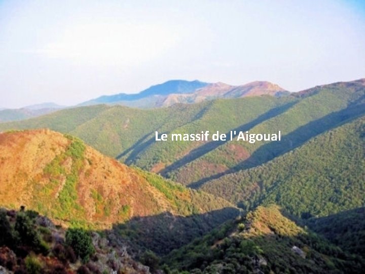 Le massif de l'Aigoual 