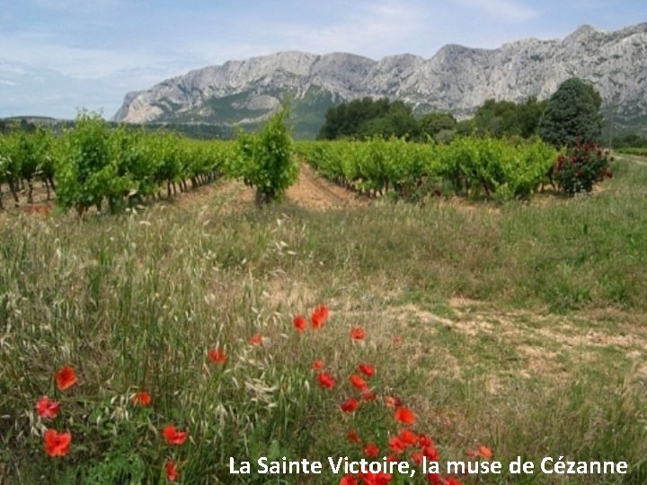 La Sainte Victoire, la muse de Cézanne 