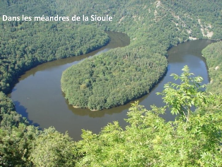 Dans les méandres de la Sioule 