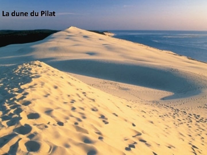 La dune du Pilat 