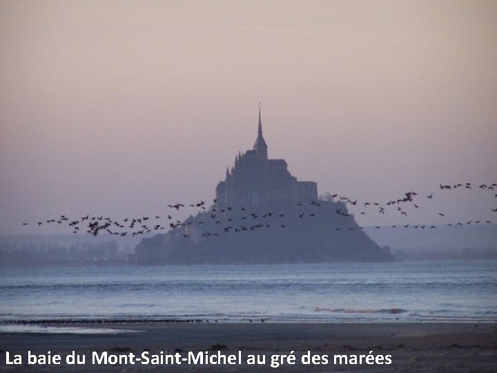 La baie du Mont-Saint-Michel au gré des marées 