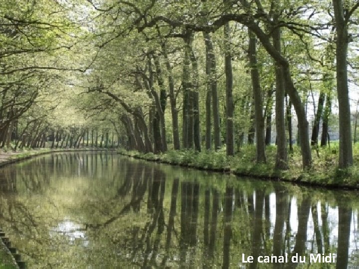 Le canal du Midi 