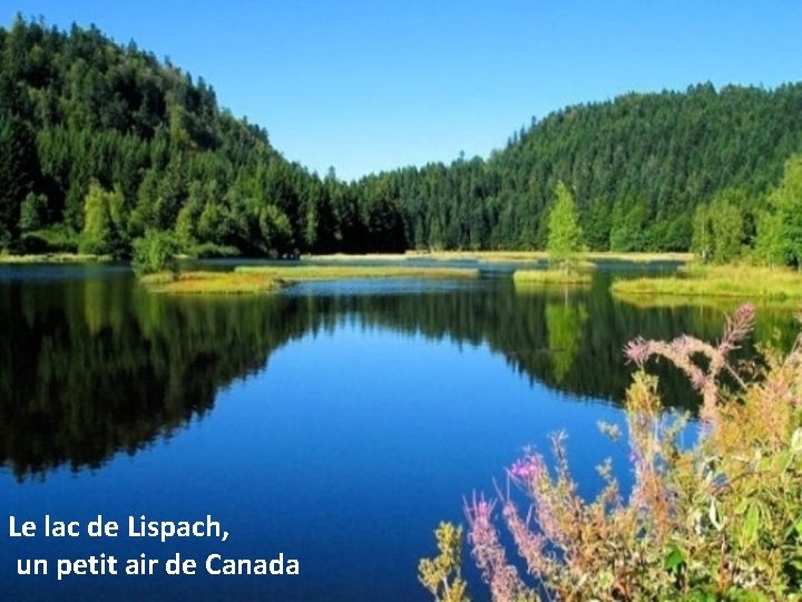 Le lac de Lispach, un petit air de Canada 