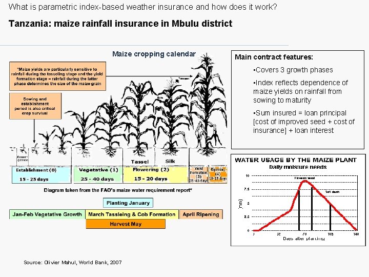 What is parametric index-based weather insurance and how does it work? Tanzania: maize rainfall