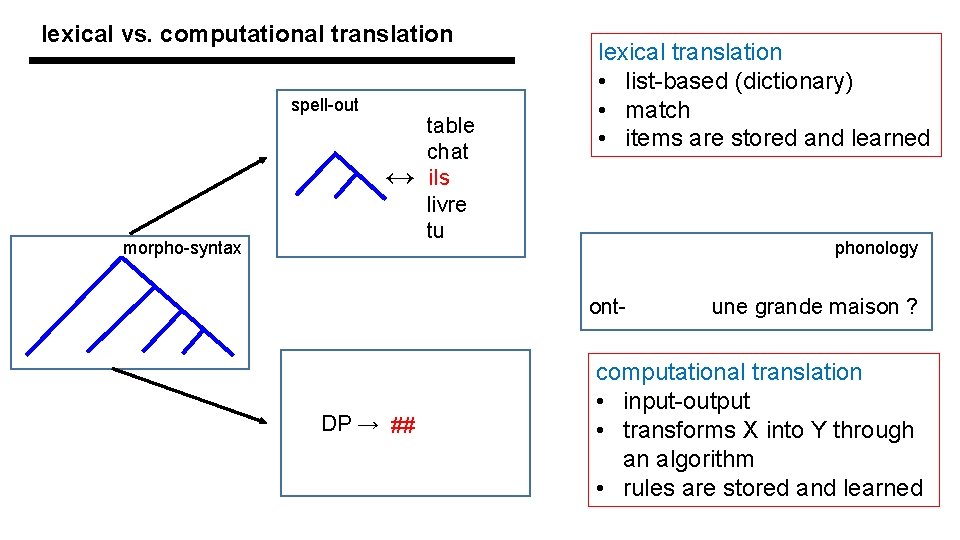 lexical vs. computational translation spell-out ↔ morpho-syntax table chat ils livre tu lexical translation