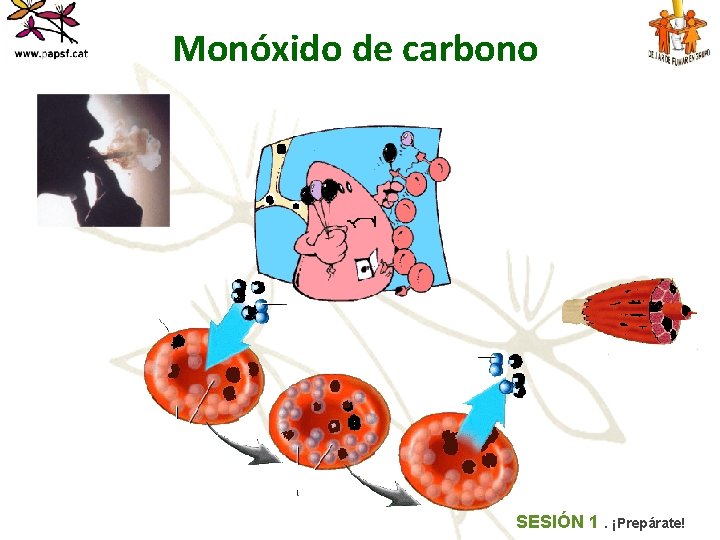 Monóxido de carbono SESIÓN 1. ¡Prepárate! 