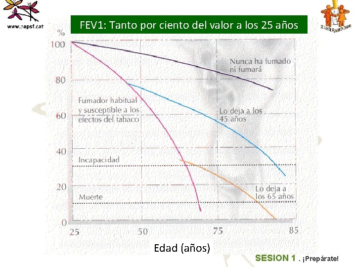 FEV 1: Tanto por ciento del valor a los 25 años Edad (años) SESIÓN