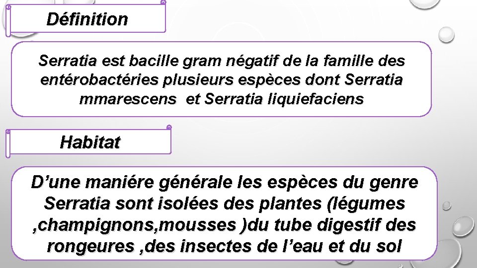 Définition Serratia est bacille gram négatif de la famille des entérobactéries plusieurs espèces dont