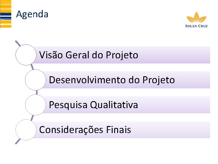Agenda Visão Geral do Projeto Desenvolvimento do Projeto Pesquisa Qualitativa Considerações Finais 