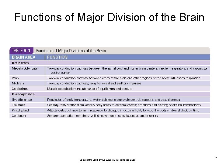 Functions of Major Division of the Brain Copyright © 2016 by Elsevier Inc. All