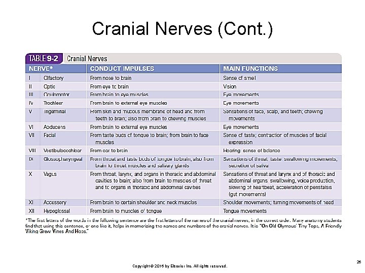Cranial Nerves (Cont. ) Copyright © 2016 by Elsevier Inc. All rights reserved. 26