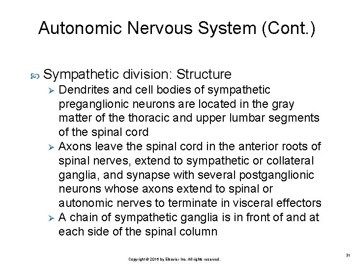 Autonomic Nervous System (Cont. ) Sympathetic division: Structure Ø Ø Ø Dendrites and cell