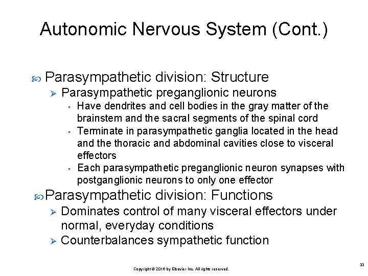 Autonomic Nervous System (Cont. ) Parasympathetic division: Structure Ø Parasympathetic preganglionic neurons • •