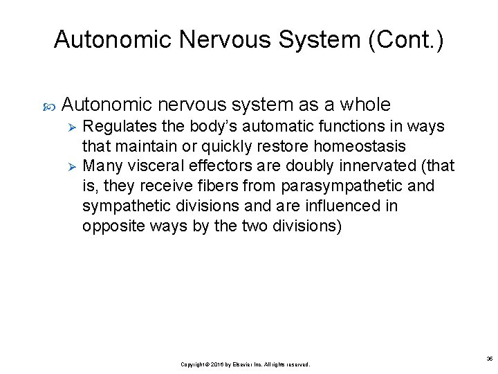 Autonomic Nervous System (Cont. ) Autonomic nervous system as a whole Ø Ø Regulates
