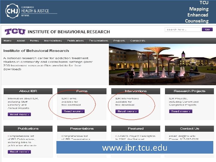TCU Mapping Enhanced Counseling www. ibr. tcu. edu 