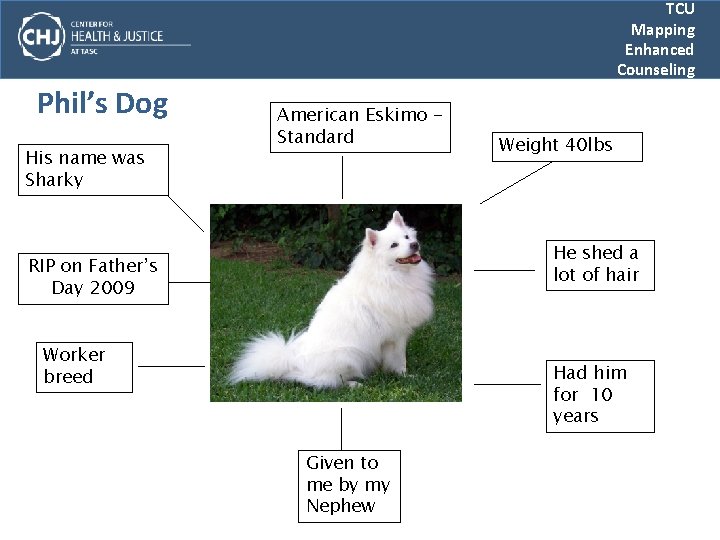 TCU Mapping Enhanced Counseling Phil’s Dog His name was Sharky American Eskimo Standard Weight