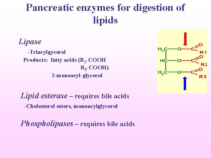 Pancreatic enzymes for digestion of lipids Lipase -Triacylgycerol Products: fatty acids (R 1 -COOH