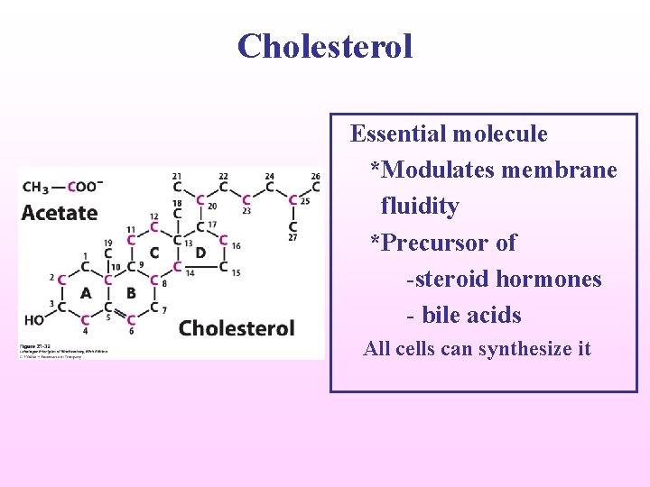 Cholesterol Essential molecule *Modulates membrane fluidity *Precursor of -steroid hormones - bile acids All