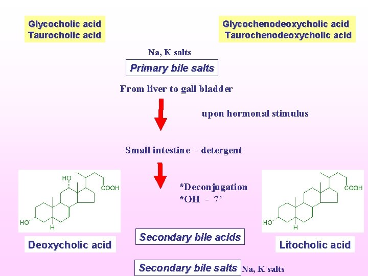 Glycocholic acid Taurocholic acid Glycochenodeoxycholic acid Taurochenodeoxycholic acid Na, K salts Primary bile salts