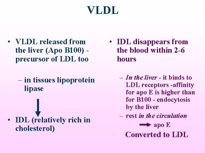VLDL • VLDL released from the liver (Apo B 100) precursor of LDL too