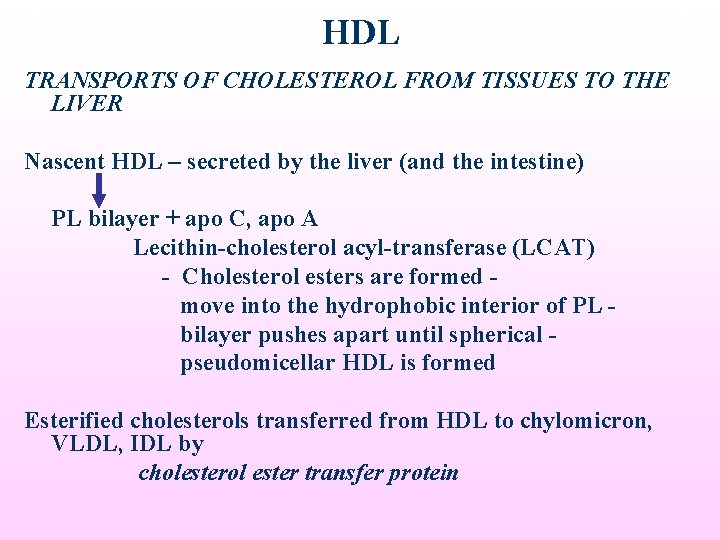 HDL TRANSPORTS OF CHOLESTEROL FROM TISSUES TO THE LIVER Nascent HDL – secreted by