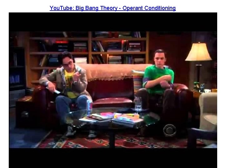 You. Tube: Big Bang Theory - Operant Conditioning 