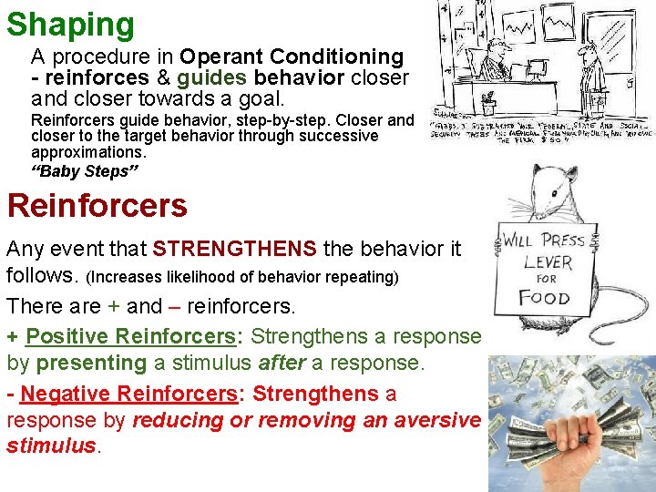 Shaping A procedure in Operant Conditioning - reinforces & guides behavior closer and closer
