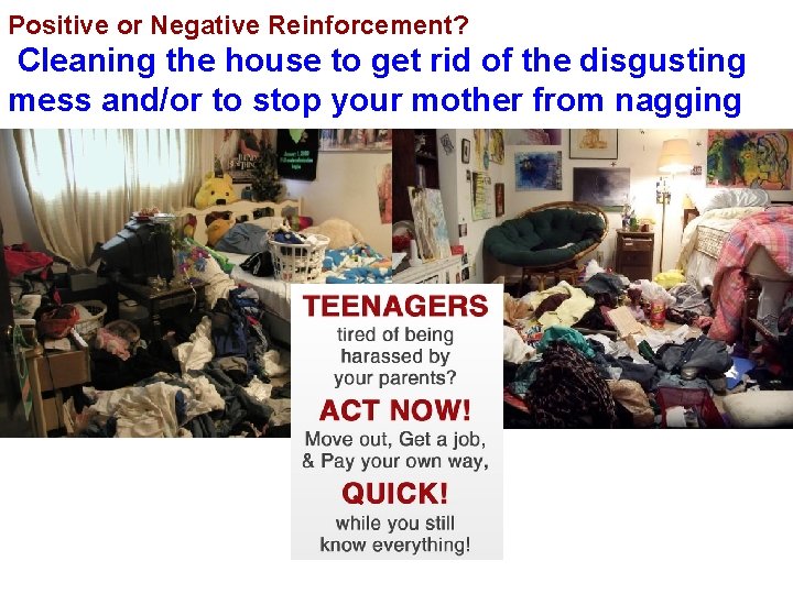 Positive or Negative Reinforcement? Cleaning the house to get rid of the disgusting mess