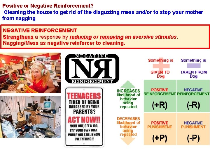 Positive or Negative Reinforcement? Cleaning the house to get rid of the disgusting mess