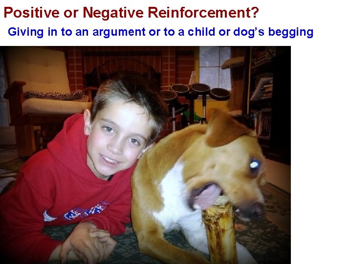 Positive or Negative Reinforcement? Giving in to an argument or to a child or