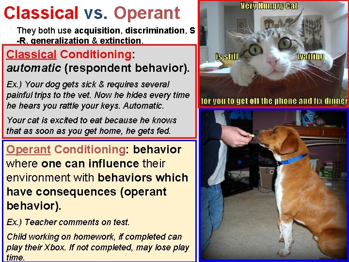 Classical vs. Operant They both use acquisition, discrimination, S -R, generalization & extinction. Classical