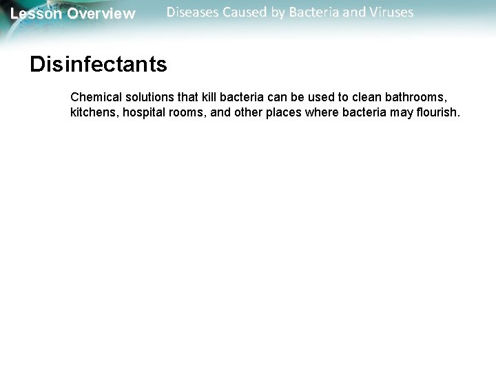 Lesson Overview Diseases Caused by Bacteria and Viruses